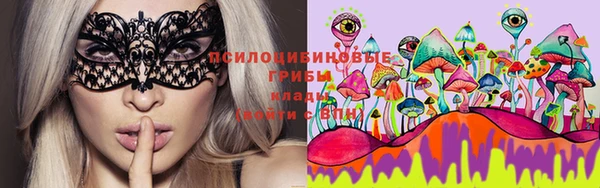 каннабис Алзамай
